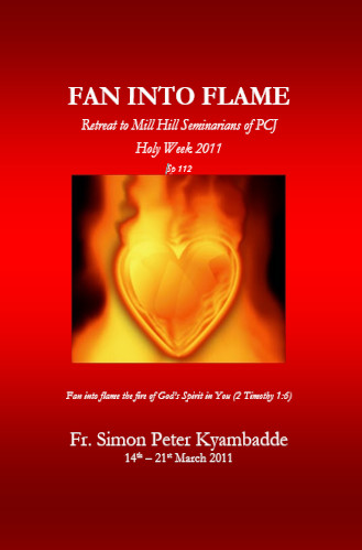 Cover of Fan into Flame